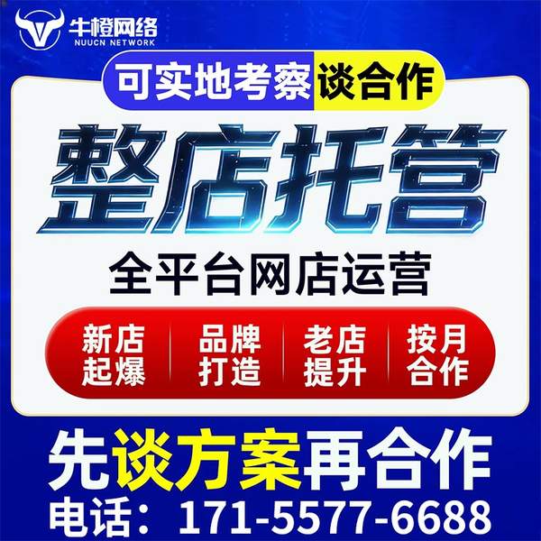 无锡电商代运营