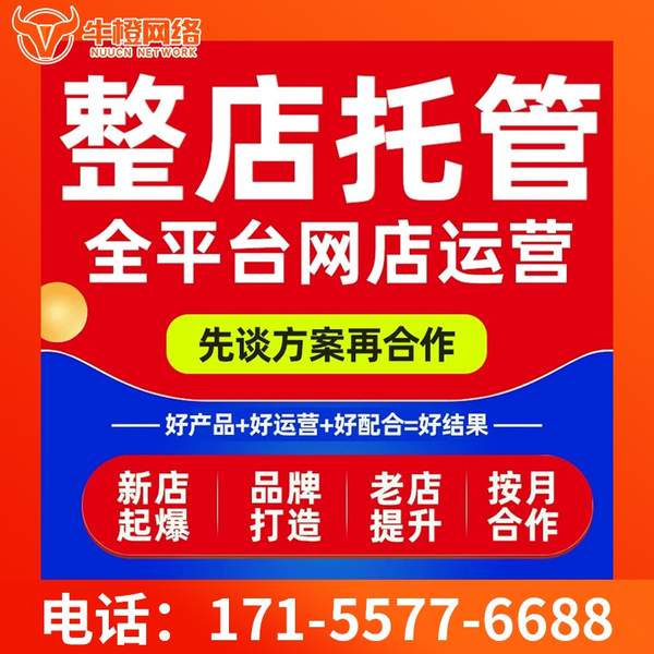 无锡电商代运营